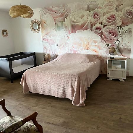 Chez Ghislaine Villa Saint-Appolinard  Eksteriør billede
